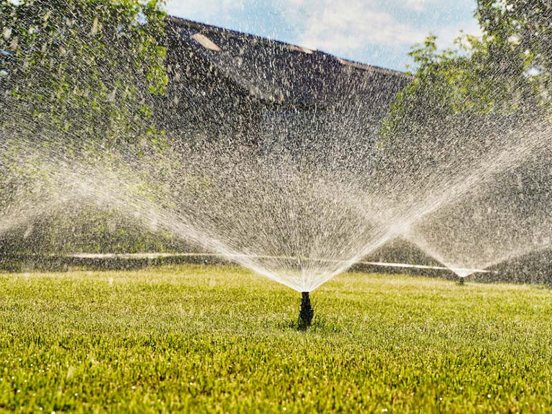 Arrosage automatique jardin